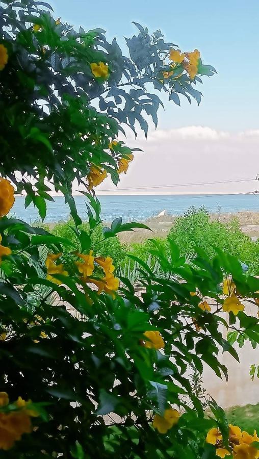 Вилла Kayan House Tunis Экстерьер фото