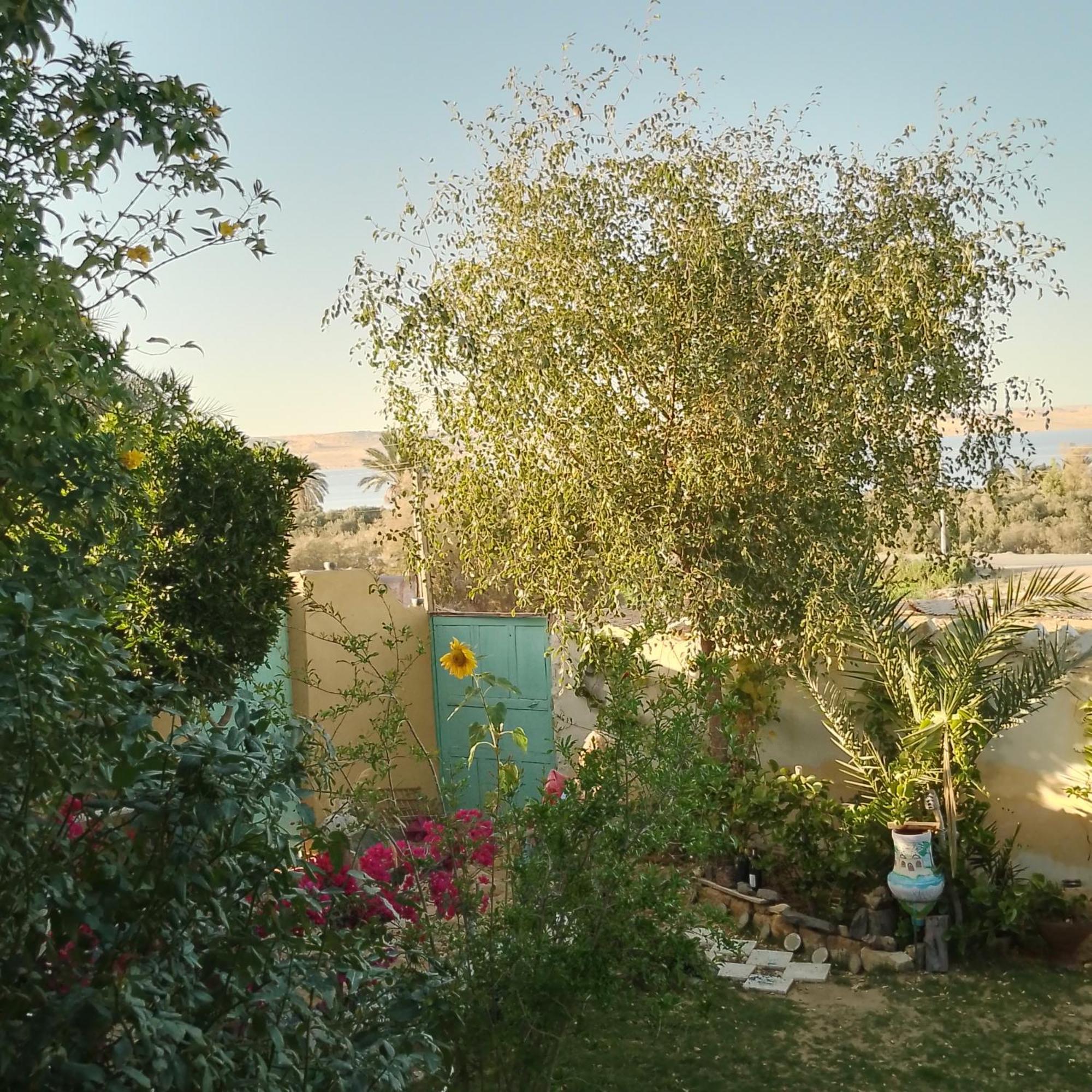 Вилла Kayan House Tunis Экстерьер фото